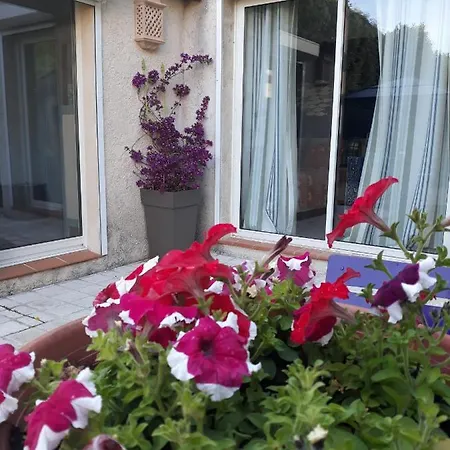 Dans Un Jardin Bb Et Jacuzzi Mandelieu-la-Napoule